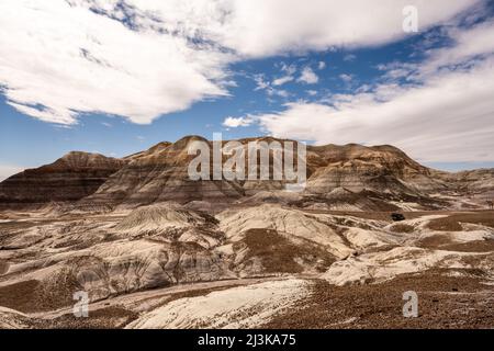 Badlands Formationen auf dem Blue Mesa Trail im Petrified Forest National Park Stockfoto