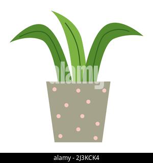 Sansevieria mit drei großen Blättern in grauer quadratischer Keramikvase. Geeignet zum Dekorieren von Notizbüchern, zum Erstellen von Aufklebern, für Web isoliert auf weißem Hintergrund. Hausdekor-Konzept. Vektorgrafik Stock Vektor