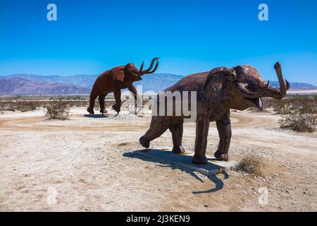 Zwei kolumbianische Mammuts (Mammuthus columbi) verschweißten Stahlskulpturen des Bildhauers Ricardo Breceda in den Galleta Meadows in Borrego Springa, Kalifornien. Stockfoto