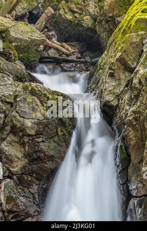 Rollstuhlgerecht, nur 400m Gehminuten vom Parkplatz entfernt, der Afon Sychryd River in Rhondda Cynon TAF, am einfachsten zu erreichen, in der Nähe von Dinas Rock, Wasserfällen, Mo Stockfoto