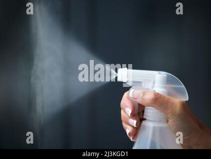 Dies ist der beste Fensterreiniger. Aufnahme einer Frau, die eine Flasche Desinfektionsmittel sprüht, um ihr Fenster zu reinigen. Stockfoto