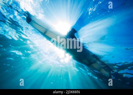 Ein Seekayaker von unten. Stockfoto