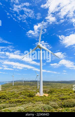 Windturbinen mit Blick auf den Ozean auf der Albany Wind Farm, Torndirrup Peninsula, Albany, Western Australia, Australien Stockfoto