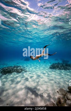 Eine Frau beim Schnorcheln im elektrischen Beach auf Oahu. Stockfoto