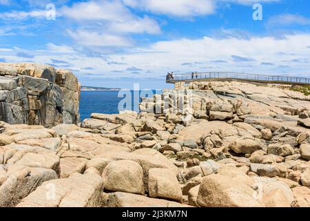 Aussichtsplattform 40m über der Gap im Torndirrup National Park auf der Torndirrup Peninsula, Albany Western Australia, Australien Stockfoto