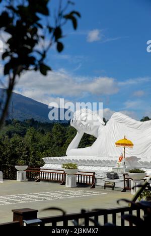 Weiße schlafende buddha-Statue in einer liegenden Pose mit Bäumen im Hintergrund, Vihara Dharma Giri Tempel; Tabanan, Bali, Indonesien Stockfoto