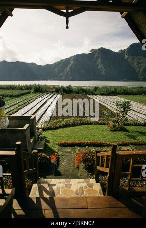Blick von der Veranda mit Steintreppen und Blick auf neu gepflanzte Reisfelder vor einem See und den Berg Batur (Kintamani Vulkan) im Hintergrund... Stockfoto