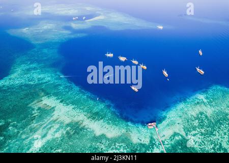 Luftaufnahme von Booten, die vor einer Insel im Komodo-Nationalpark festgemacht sind, mit einem Pier, der sich in das umgebende türkisfarbene Wasser erstreckt Stockfoto