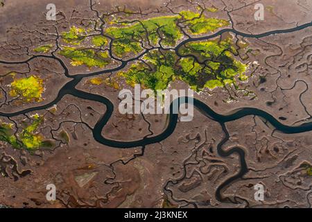 Luftaufnahme von sich schlänfenden Flüssen und Feuchtgebieten an der kalifornischen Küste; in der kalifornischen Küste; in der kalifornischen Region, in den Vereinigten Staaten von Amerika Stockfoto