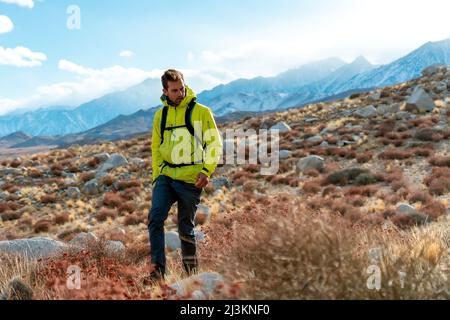 Mann in einer leuchtend gelben Jacke beim Wandern in der östlichen Sierra; Kalifornien, Vereinigte Staaten von Amerika Stockfoto