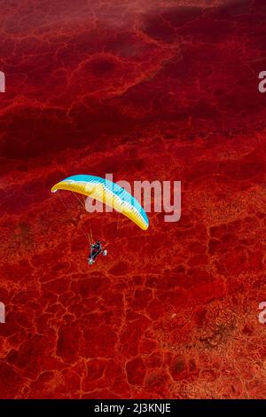 Ein Paramotor-Pilot fliegt über Owens Lake, ein meist trockenes Seebett, in der Sierra Nevada in der Nähe von Lone Pine, mit salzliebenden Halobakterien, die den... Stockfoto