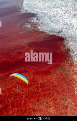 Ein Paramotor-Pilot fliegt über Owens Lake, ein meist trockenes Seebett, in der Sierra Nevada in der Nähe von Lone Pine, mit salzliebenden Halobakterien, die den... Stockfoto