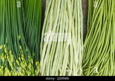 Nahaufnahme von frischem Gemüse, Knoblauchsprossen und chinesischen langen Bohnen zum Verkauf auf dem Chengdu Markt; Sichuan, China Stockfoto