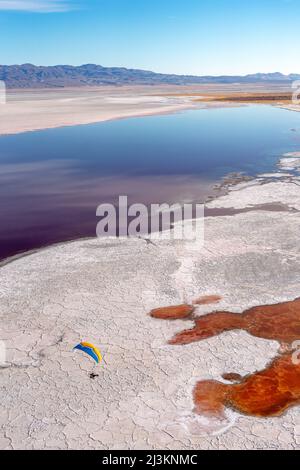 Ein Paramotor-Pilot fliegt über Owens Lake, ein meist trockenes Seebett, in der Sierra Nevada in der Nähe von Lone Pine, mit salzliebenden Halobakterien, die den... Stockfoto