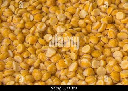 Über Nacht in Wasser getränktes bengalisches Gramm aufteilen, um schneller zu kochen, dhal gesund zu machen, Zeit und Energie zu sparen, Nahaufnahme in geringer Tiefenschärfe aufgenommen, Stockfoto