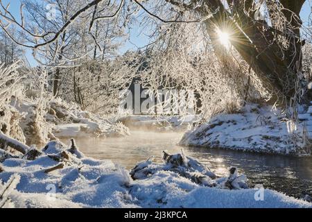 Gefrorene und verschneite Landschaft mit Nebel, der aus einem fließenden Bach aufsteigt; Bayern, Deutschland Stockfoto