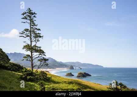 Ein weiterer schöner Tag beginnt im Ecola State Park an der Küste von Oregon; Cannon Beach, Oregon, USA Stockfoto