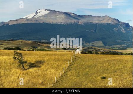 Ackerland südlich von Coyhaique, entlang der Carretera Austral in Chile; Patagonien, Chile Stockfoto