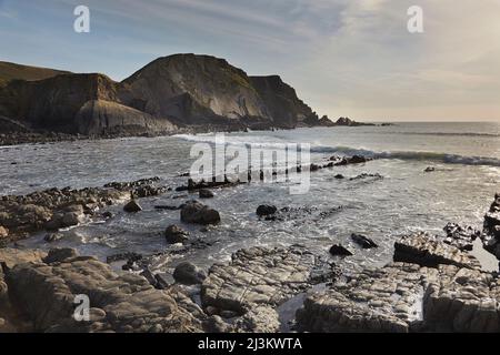 Atlantikküstenklippen, an der Nordküste von Devon, England.; Damehole Point, Devon, Großbritannien. Stockfoto