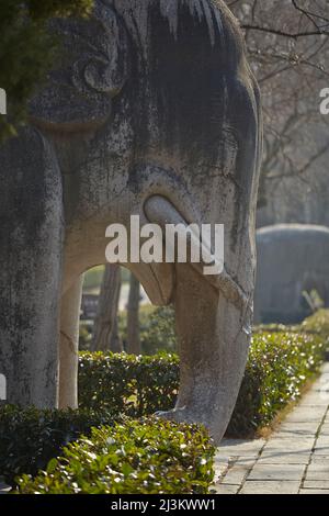 Eine Elefantenskulptur auf einer Allee von Tierskulpturen in Mingxiaoling, das Grab von Hongwu, dem ersten Kaiser der Ming-Dynastie, Nanjing, Jiangsu... Stockfoto