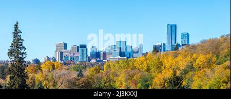 Skyline und Herbstfarben im Stadtzentrum von Edmonton; Edmonton, Alberta, Kanada Stockfoto