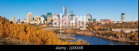 Skyline der Innenstadt von Edmonton mit dem North Saskatchewan River und Herbstfarben und der Edmonton Valley Light Rail Tawatina Bridge über die ... Stockfoto