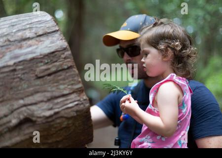 Vater und seine junge Tochter machen eine Pause, um die Natur zu erkunden, Smuggler Cove Marine Provincial Park, Sunshine Coast, BC, Kanada; British Columbia, Kanada Stockfoto