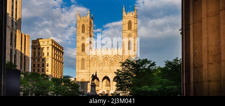 Notre-Dame Basilica und Maisonneuve Monument in Montreal; Montreal, Quebec, Kanada Stockfoto