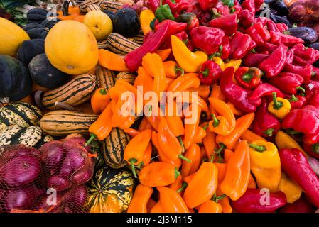 Frisches Bio-Herbstgemüse zum Verkauf auf einem Straßenmarkt - Kürbisse, rote, orange und lila Paprika, Zwiebeln, Auberginen Stockfoto