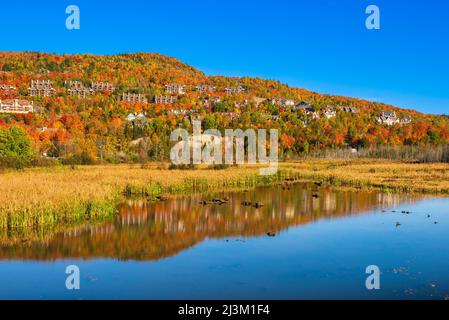 Unterkünfte im Skigebiet Mont Tremblant Village in Quebec, Kanada; Mont-Tremblant, Quebec, Kanada Stockfoto