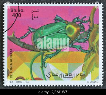 Abgesagte Briefmarke gedruckt von Somalia, die Western Rose Chafer - Cetonia aurata zeigt, um 1998. Stockfoto