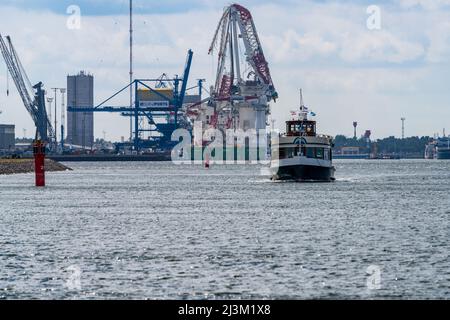 Rostock, Mecklenburg-Vorpommern, Deutschland - 14. Juni 2020: Blick auf den Hafen mit einem Hafenkreuzfahrtschiff und dem beschädigten Liebherr-Schwerlastaufzug cr Stockfoto