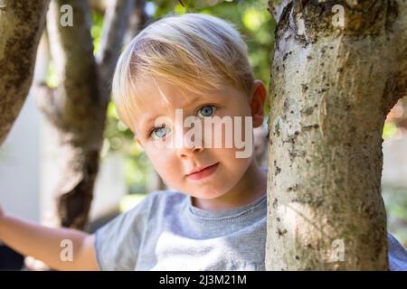 Nahaufnahme eines Jungen mit blauen Augen in einem Baum, der auf die Kamera schaut; Vientiane, Präfektur Vientiane, Laos Stockfoto