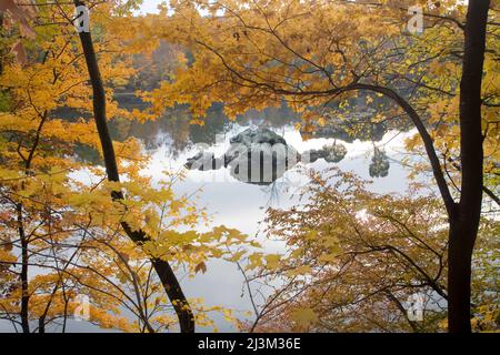 Herbstlaub und Felsen entlang des C&O-Kanals; der Nationalpark von Cichapeake und Ohio Canal, Cabin John, Maryland Stockfoto