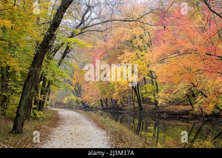 Der Treidelpfad entlang des Kanal von Schemake und Ohio an einem Herbsttag.; Kanal von Schemake und Ohio, Hütte John, Maryland Stockfoto