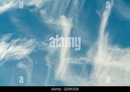 Cirrus Wolken in einem blauen Himmel; South Shields, Tyne und Wear, England Stockfoto