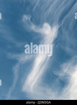 Cirrus Wolken in einem blauen Himmel; South Shields, Tyne und Wear, England Stockfoto