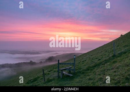 Morgennebel schlängelt sich durch die Bäume und über die Felder der South Downs, wenn die Sonne aufgeht; Lewes, East Sussex, England Stockfoto