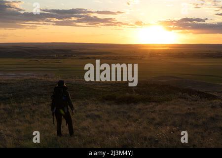Frau, die den Sonnenuntergang über den Prärien von Saskatchewan, Val Marie, Saskatchewan, Kanada, betrachtet Stockfoto