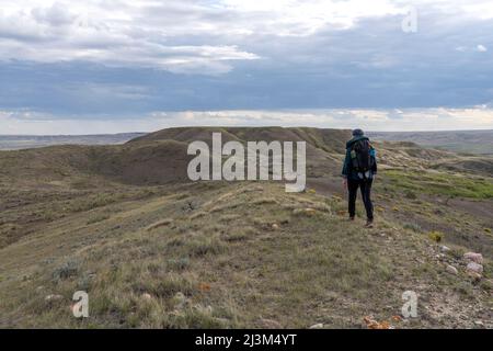 Frau, die auf einer butte in Richtung 70 Mile butte im Grasslands National Park geht; Val Marie, Saskatchewan, Kanada Stockfoto