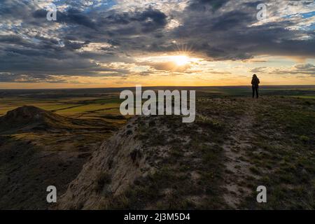 Frau, die den Sonnenuntergang über den Prärien von Saskatchewan beobachtet; Val Marie, Saskatchewan, Kanada Stockfoto