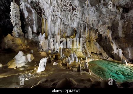 Riesige Tropfsteinhöhlen wachsen nahe der hinteren Wand mit Blick auf einen grünen Wasserpool.; Carlsbad Caverns National Park, New Mexico. Stockfoto