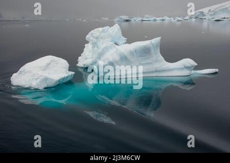 Eisberge, die im Neko Harbour der Antarktis schweben Stockfoto