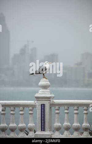 Ein regnerischer Tag auf der Landzunge des Balcon del Mediterraneo, Cerro Canfali, Benidorm, Spanien Stockfoto