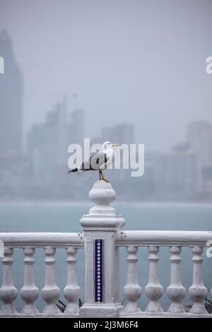 Ein regnerischer Tag auf der Landzunge des Balcon del Mediterraneo, Cerro Canfali, Benidorm, Spanien Stockfoto