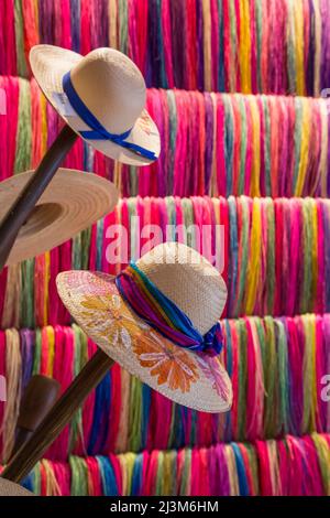 Panama (Jipi) Hüte, verarbeitet Jipi Palm (Hintergrund) für Hutherstellung, Altstadt San Francisco de Campeche, UNESCO-Weltkulturerbe Stockfoto