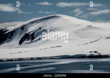 Wanderer, die sich auf Half Moon Island, Antarktis, einen Hügel hinaufmachen Stockfoto