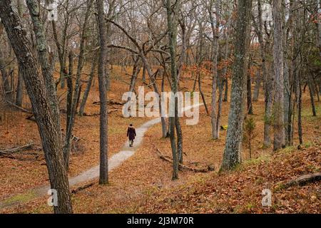 Frau auf einem Waldweg in Ontario; Grand Bend, Ontario, Kanada Stockfoto