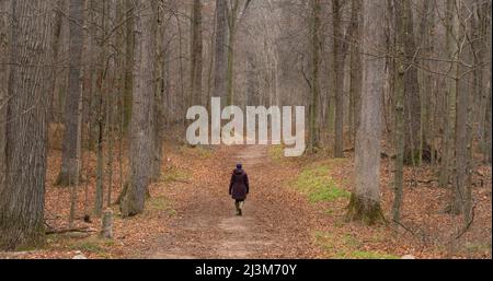 Frau auf einem Waldweg in Ontario; St. Thomas, Ontario, Kanada Stockfoto