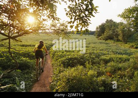 Ein Radfahrer fährt auf einem Pfad durch Sojabohnenfelder.; Seneca State Park, Maryland, USA Stockfoto